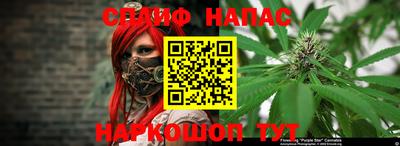МДПВ Канаш
