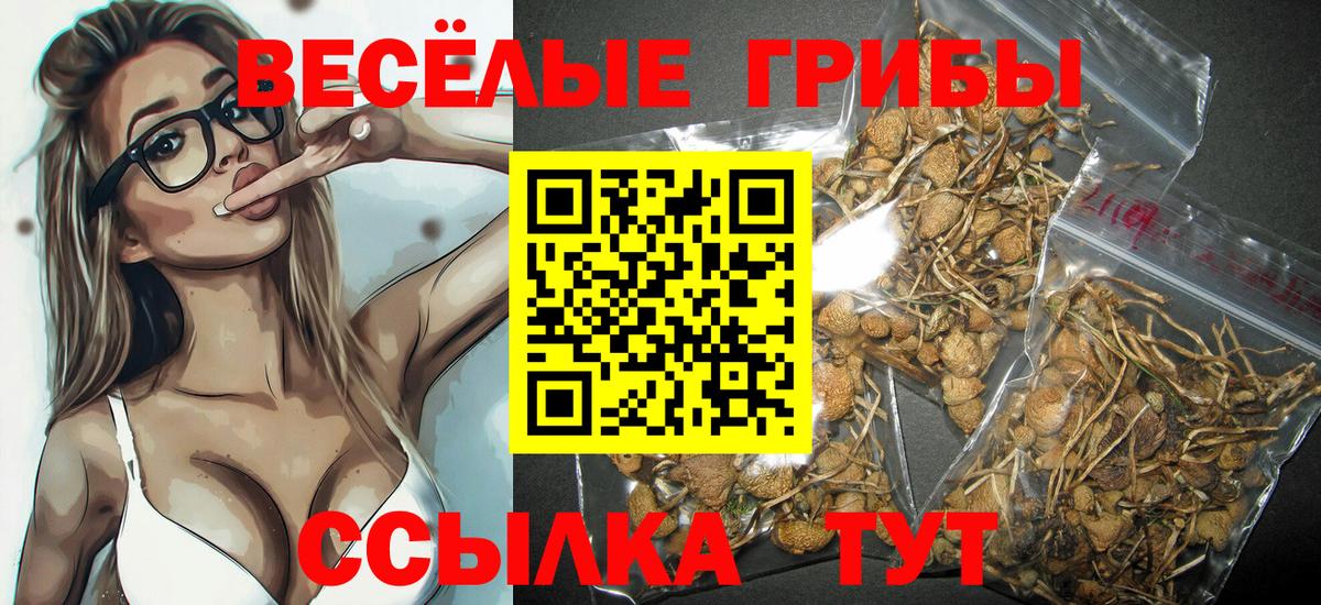 Псилоцибиновые грибы Cubensis Ярцево